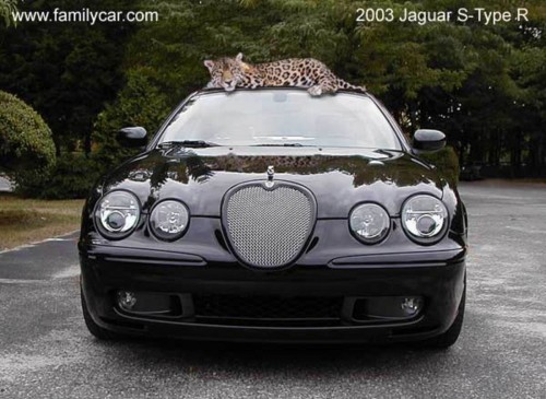 enjoy these pictures amp wallpapers of the jaguar s type r it39s one of many 6a940