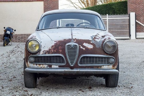 this 63 alfa romeo barn find is for sale rust included