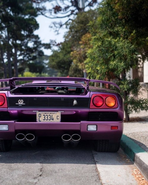 The_oldest_car-on-Instagram_-L-A-M-B-O-R-G-H-I-N-I-_-When-cartheberbant-asks-if-you-want-to-go-for-a-spin-you-say-yes.-PURPLE-DIABLO.jpg