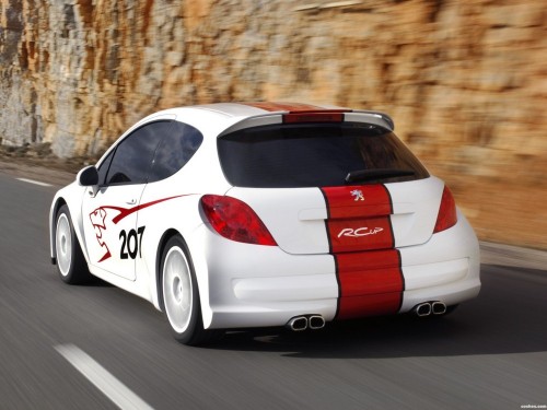 peugeot_207-rcup_r2.md.jpg