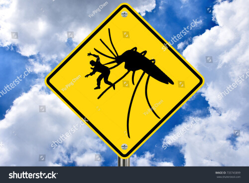 stock photo giant mosquito carrying off human a warning that mosquito bites can kill due to viruses 